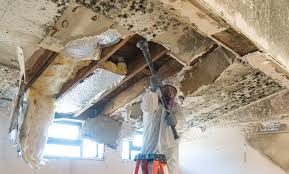 Best Residential Mold Inspection & Testing  in Pittsburg, CA